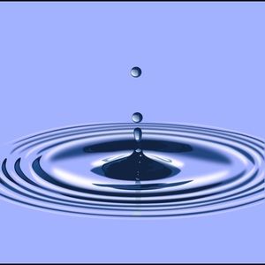 Meet your Posher, Peter